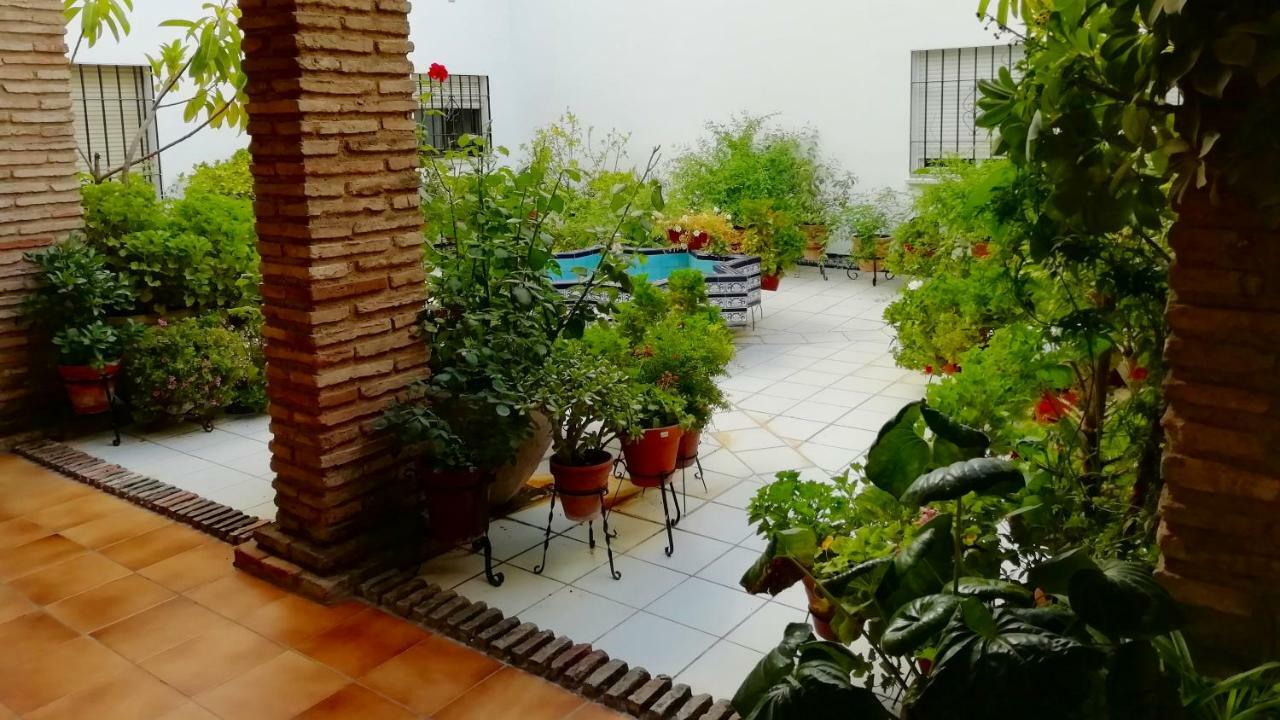 Patios De San Rafael Daire Cordoba Dış mekan fotoğraf
