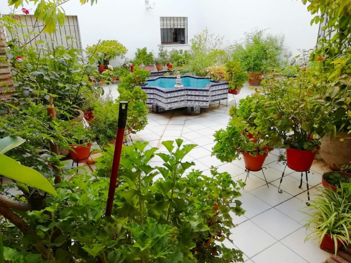 Patios De San Rafael Daire Cordoba Dış mekan fotoğraf